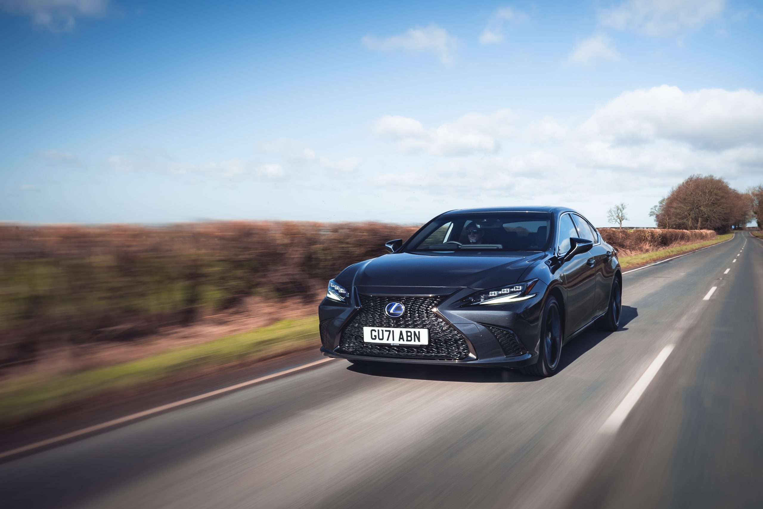 Lexus Sport exterior